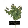 Bush Eucalipto Cm 45 Grg