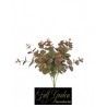 Bush Eucalipto Cm 45 Cri