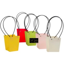 Borsa C/manico Plastica Pz 10  Colori Ass 17x17