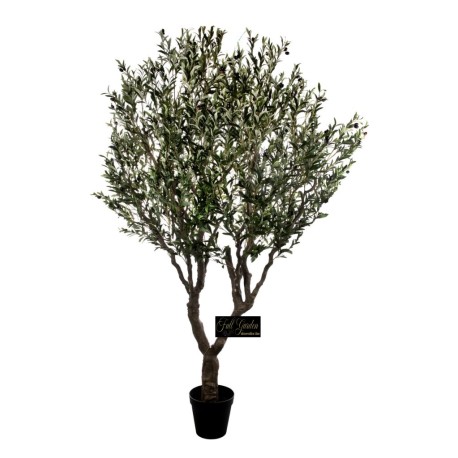 ALBERO ULIVO CM.250