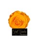 ROSE STABILIZZATE X 8  GIALLO