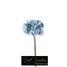 Ortensia H.cm.48 Light Blu