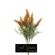 BUSH ASTILBE X 9 CM 55 YELLOW