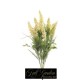 BUSH ASTILBE X 9 CM 55 CREMA