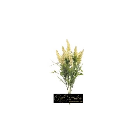 BUSH ASTILBE X 9 CM 55 CREMA