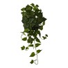 Cascante Vite X 70 Cm.65