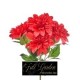 BUSH DALIE X 5 H.CM.50 ROSSO