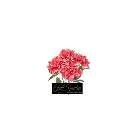 BUSH DALIE X 5 H.CM.50 PINK