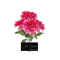 Bush Dalie X 5 H.cm.50 Fuxia