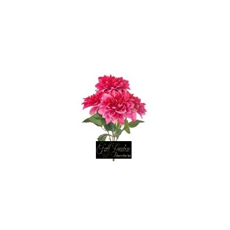 BUSH DALIE X 5 H.CM.50 FUXIA