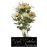 Bush Pon Pon X 10 H.cm.42 Crema