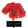 BOUQUET 9 GERBERE H.CM.33 ROSSA