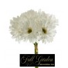 Bouquet 9 Gerbere H.cm.33 Bianco
