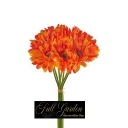 Bouquet 9 Gerbere H.cm.33 Arancio