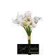 BUNDLE CALLA GOMMA X 7 H.CM.30 BIANCA