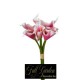 BUNDLE CALLA GOMMA X 7 H.CM.30 PINK