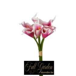 BUNDLE CALLA GOMMA X 7 H.CM.30 PINK