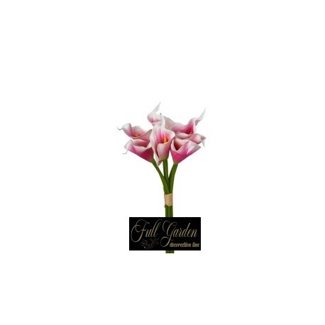 BUNDLE CALLA GOMMA X 7 H.CM.30 PINK