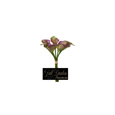 BUNDLE CALLA GOMMA X 7 H.CM.30 PURPLE