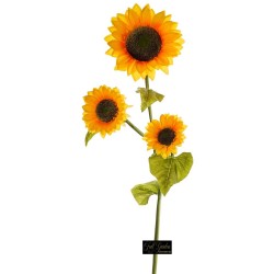 Girasole X 3 Cm 120