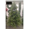 Albero Scozzese Cm.240  Tips 1763 D.144