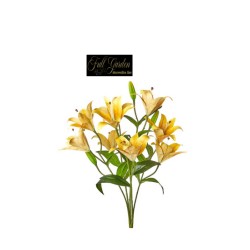 Bush  Lilium X9 Yellow