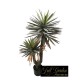 PIANTA DRACENA CON VASO CM 150