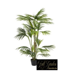 Pianta Areca Cm.140