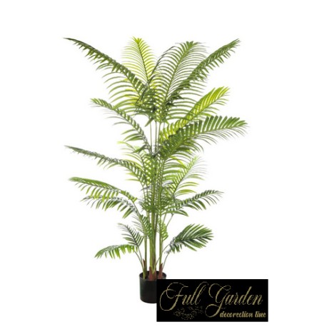 PIANTA ARECA CM 200 23 FOGLIE