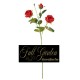 TRALCIO ROSA GINA CM 63 RED