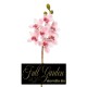 CYMBIDIUM NATURAL TOUCH CM 80 PINK