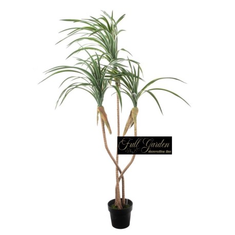 PIANTA DRACENA CON VASO  CM.180