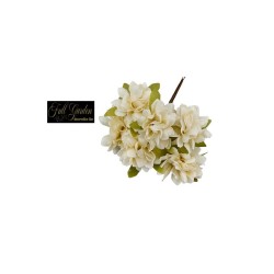 Fiorellino Panna  Millepetali Sfumato  X 6 D.4