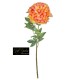 PEONIA NATURAL TOUCH CM.70 ORANGE