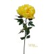 PEONIA NATURAL TOUCH CM.70 YELLOW