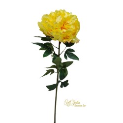 PEONIA NATURAL TOUCH CM.70 YELLOW