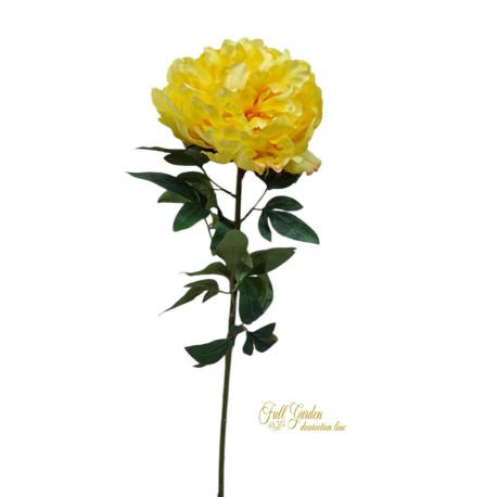 PEONIA NATURAL TOUCH CM.70 YELLOW