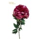 PEONIA NATURAL TOUCH CM.70 BEAUTY