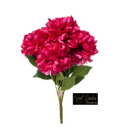 PEONIA NATURAL TOUCH CM.70 BEAUTY