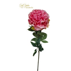 PEONIA NATURAL TOUCH CM.70 OLD PINK