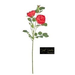 Rosa Innglese Cm.60 Red