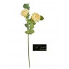 ROSA INNGLESE CM.60 YELLOW