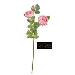 ROSA INNGLESE CM.60 LIGHT PINK