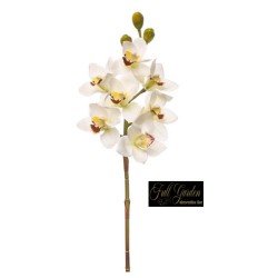 CYMBIDIUM NATURAL TOUCH CM 80 CREMA