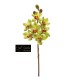 CYMBIDIUM NATURAL TOUCH CM 80 GREEN