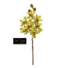 Cymbidium Natural Touch Cm 80 Green