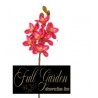Cymbidium Natural Touch Cm 80 Beauty