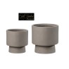 Set X2 Las Vegas D.30+24 Taupe