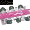 Oasis Little Lady Cm.8x Pz.6