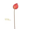 Anthurium Medio Cm.80 Red